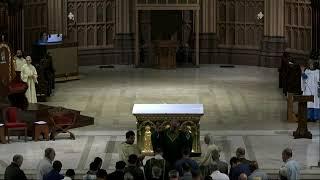 6/15/23 | 11th Sunday of Ordinary Time