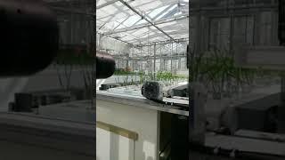 EPPN2020 Aeroponics - Alexey Morgunov