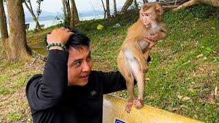 Monkey Kaka: A Father's Love, A Daughter's Affection