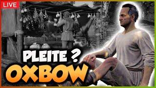 RAUS aus dem BANKROTT!MEDIEVAL DYNASTY Oxbow 2024 - Gameplay | Livestream | #012