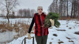 LIFE in the a remote Ukrainian village! CHRISTMAS IN THE VILLAGE!