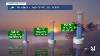 Understanding relative humidity and dew point