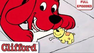 Goodbye T-Bone, The Truth About Cats and Dogs + More! | Full Episodes | Clifford the Big Red Dog