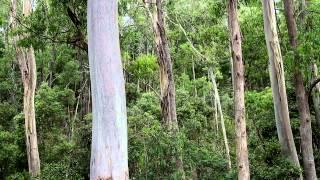 Time-lapse in HDR testing at bakers gully. - Marc Griffith #1