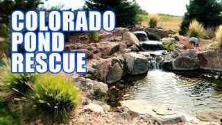 A Pond Renovation YOU Need to SEE!!  Greg Wittstock, The Pond Guy
