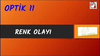 RENK OLAYI | Optik 11 | 2024 PDF