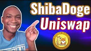 How to Buy Shibadoge Using Uniswap - Very Simple | Adam Shelton