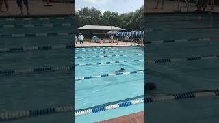 Brooklyn Breast Stroke