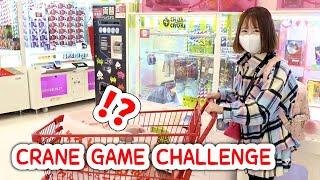 NO BUDGET Japan Crane Game Challenge!!!