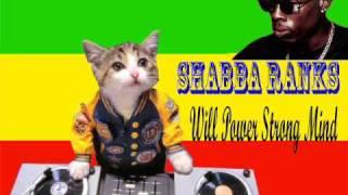 Shabba Ranks - Will power strong mind