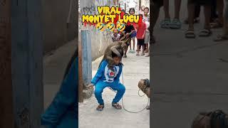 topeng monyet kocak#shorts #viral #meme #memes #story