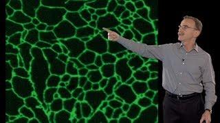 Mysterious Membranes Within the Cell - Randy Schekman (UCB/HHMI)