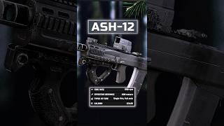 This is ASh-12 (PS12B Ammo)