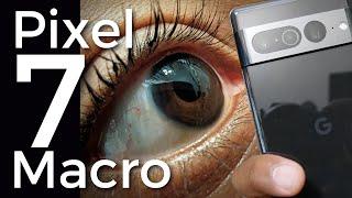 Pixel 7 Pro Camera Review Macro and Zoom Test - OMG!