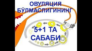 Ovulyatsiya bo'lmasliginig 5+1 ta sababi