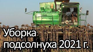 Уборка подсолнечника 2021г. Новый рекорд урожайности для нас!