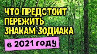 Что предстоит пережить знакам зодиака в 2021 году