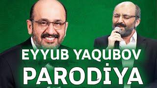 Eyyub Yaqubov - (Popuri) - PARODİYA (Elnur Mahmudov) - Həmin Zaur