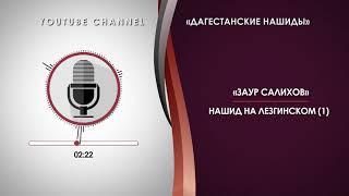 «ЗАУР САЛИХОВ» - ЛЕЗГИНСКИЙ НАШИД 01