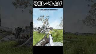 効率のいい弓術レベル上げ【スカイリムMOD】