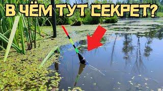 ПРИДУМАЛ ХИТРОСТЬ и ПОЙМАЛ КАРАСЕЙ! Рыбалка на поплавок в ПРУДУ УДИВИЛА! Ловля рыбы в июне 2025.