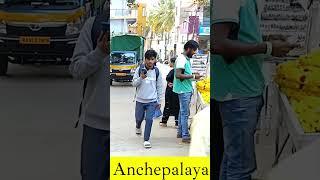 Anchepalaya