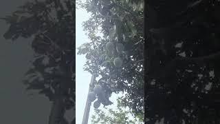 #Today Weather#Mausam Mastana#short video#Bhawna Jitendra Joshi#