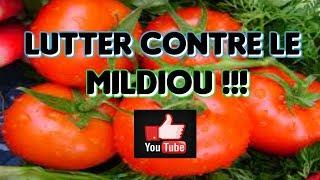 COMMENT ERADIQUER MILDIOU SUR MES TOMATES EN 13 ASTUCES DE JARDIN