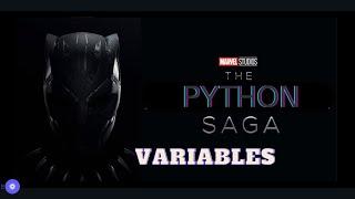 Variables #Python #Programming #Variables #CodingMagic #PythonMagic #codingjourney #codelikeapro