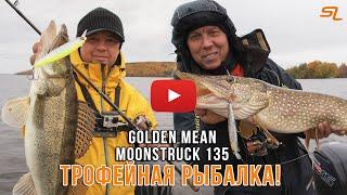 ТРОФЕЙНАЯ ЩУКА и СУДАК на Волге!  Golden Mean MoonStruck 135.