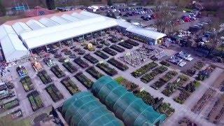 Quality Plants at Azure  Garden Centre