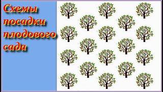 Схемы посадки плодового сада. Как спланировать участок для посадки сада