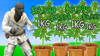 I Grew SPEED SEEDS To get LOTS of CASH on Gmod DarkRP EP 2