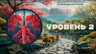 Дыхательные упражнения . Метод Бутейко . Уровень 2