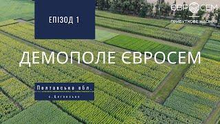 Демополе Євросем, Полтавська обл.