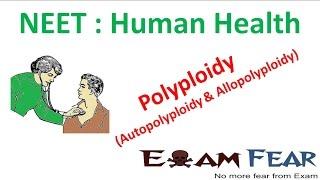 NEET Biology Human Health : Polyploidy (autopolyploidy and Allopolyploidy)