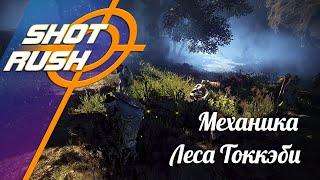 Black Desert / BD: Как правильно фармить Лес Токкэби (Механика)