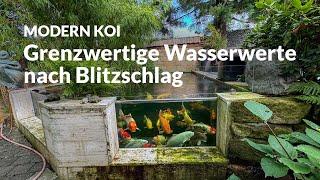 Eine Wasseranalyse an Siggis Teich | Modern Koi Blog #7247