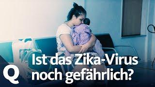 Wie viel Gefahr geht vom Zika-Virus noch aus? | Quarks