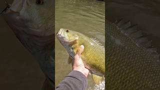 First Topwater Blowup of the year.