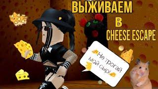 Выживаем в cheese escape|roblox cheese escape||роблокс cheese escape|