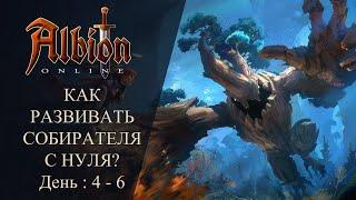 Albion online : КАК РАЗВИВАТЬ СОБИРАТЕЛЯ С НУЛЯ ? День: 4 - 6