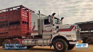Abylex Truck School will help you get back on your feet