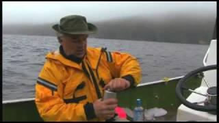 Iceberg Martini - Newfoundland and Labrador, Canada