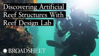 Discovering Artificial Reef Structures With Reef Design Lab