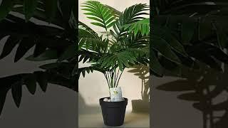 Support me Artificial premium quality indoor & outdoor Plants are available on home decor by Imran