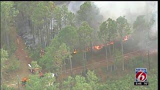 Brush fire burns in Flagler County