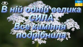 В ній одній велика СИЛА все каміння подрібнила