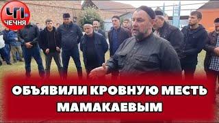 ️РОД АРСНУКАЕВЫХ ИЗ ШАТОЯ ОБЪЯВИЛ КРОВНУЮ МЕСТЬ МАМАКАЕВЫМ