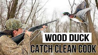 WOOD DUCK HUNTING - Catch Clean Cook (Unexpected Honey Hole)